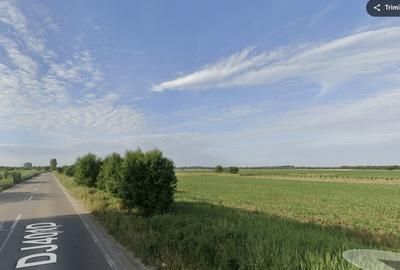 Teren Construcții intravilan de 2927 mp, în 1 Decembrie