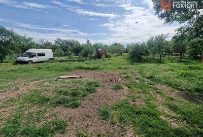 Casa cu 3 camere si teren de 2096 mp in Ianova - 9