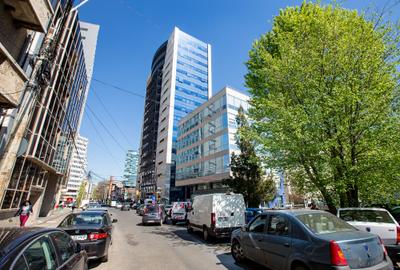 Spatiu comercial de inchiriat in Romanitza Office Building - 4