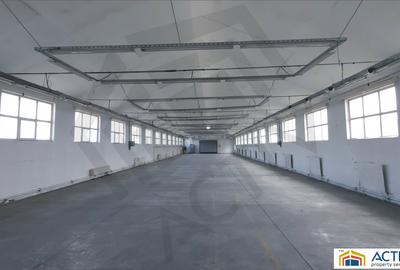 Spatiu industrial de inchiriat in Sebes - 4