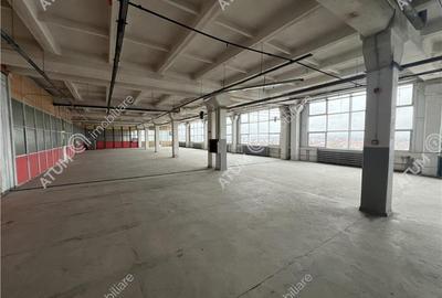 Hala industriala compartimentata in 5 spatii situat in zona Centrala - 7
