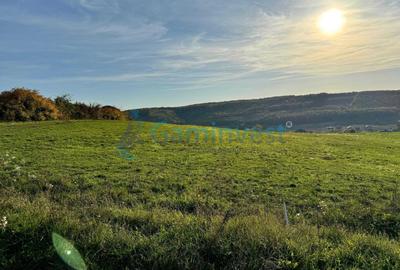 Teren de vanzare in Betfia, 5487 mp intravilan, Bihor - 6