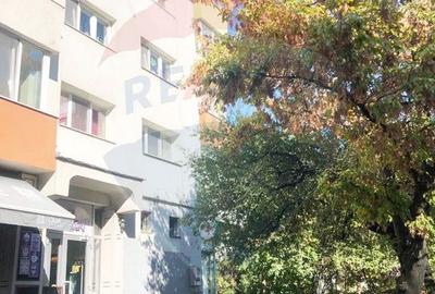 Apartament 2 camere de inchiriat  Aviatiei / Smaranda Braescu - 11