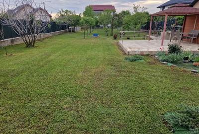 Comuna Berceni Strada Campului - 1