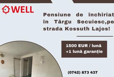 Pensiune de închiriat în Târgu Secuiesc, pe strada Kossuth Lajos! - 1