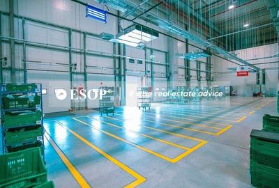 Hale de inchiriat Chitila, GLOBAL LOGISTIC PARK,  1.500 - 18.000mp - 4