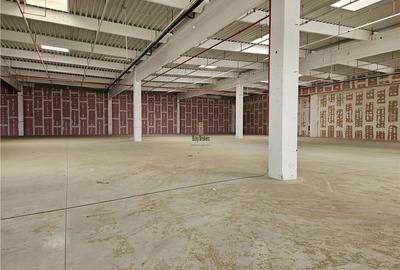 Spatiu Industrial - 9500 mp - Logistica - Productie - Depozitare - Distributie - 9