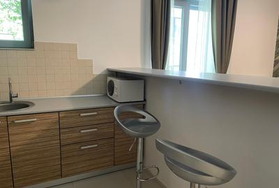 2 camere in Herastrau - 12