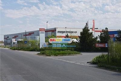 Teren Industrial 3 HECTARE Str Rudeni cu deschidere 50 ML - 5