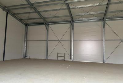 Park Logistic-Jilava - 3