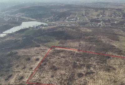 Teren intravilan de 26587 mp, în Săldăbagiu de Munte