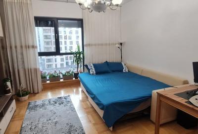 GARSONIERA PLAZA RESIDENCE ANAF METROU 5 MINUTE BLOC NOU - 1