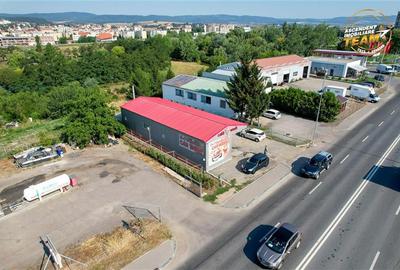 FILM! Centru de intretinere auto, dotat, preluare business, zona cu trafic inten - 24