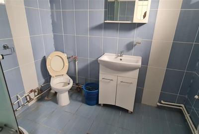 Cazare muncitori garsoniere/apartamente la curte in Vladimirescu - 10