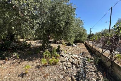 Teren intravilan pe insula Thassos, aproape de plaja salbatica - 7