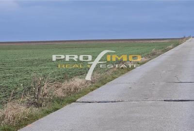 Plaja Corbu-Teren 4200mp. la numai 8 euro /mp. Soseaua asfaltata - 8