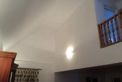 CASA DE VACANTA - TISMANA - GORJ - 8