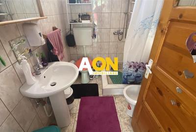 Casa Individuala Renovata cu 1600mp Teren - 14