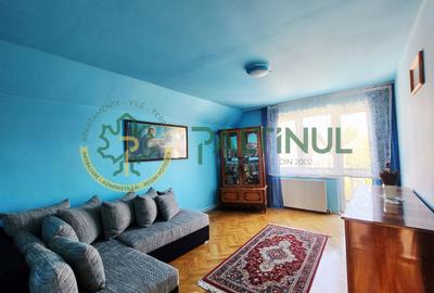 Casă Turnișor – 280 mp utili, teren 515 mp, curte și grădină pe rod - 9