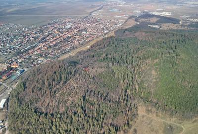 Teren intravilan - 10