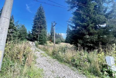 Teren Intravilan Predeal - Acces direct DN - Priveliste deosebita - 27