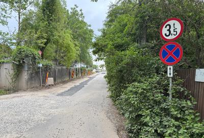 Terenul dintre 2 lacuri – 1000 mp în Mogoșoaia, la 5 minute de pădure - 17