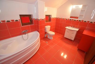Casa individuala de inchiriat - 8