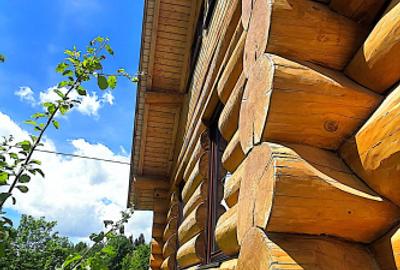 Cabana cu 7 camere de vanzare in Albac - V10073 - 49