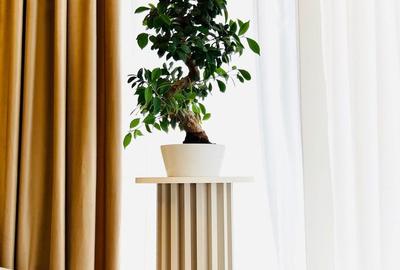 Apartament exclusivist de lux - 10
