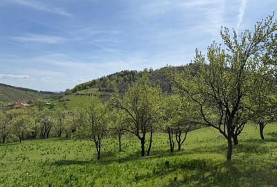 TEREN INTRAVILAN 8330 MP, INURI, VINTU DE JOS - 8