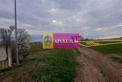 Teren 1055 MP București Sector 4 cu Certificat de Urbanism - 4