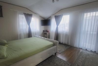 FUNDENI-DOBROIESTI, vila 2014 P+M, singur curte - 19