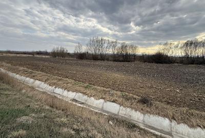 Teren extravilan | Rădăuți | 36 ARI - 9