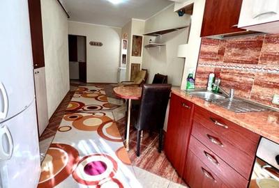 Apartament 2 camere mobilat si utilat complet, parter,  Zona Ireg - 10