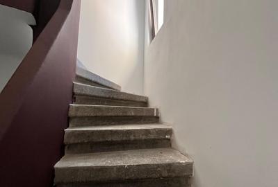 Casa Individuala - Gradina Icoanei | - 11
