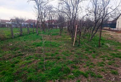Oportunitate casă vanzare Vladimirescu teren generos 1168 mp - 9