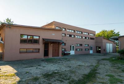 Hală industrială cu multiple destinații în Nădlac - 39