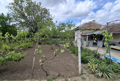 Casa paianta locuibila. Teren 1772 mp, desch. 30 ml. Asfalt, curent, apa, canal. - 9