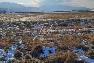 TEREN INTRAVILAN TALMACIU ZONA INDUSTRIALA - 1