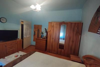 Apart la casa Bogdanestilor  curte  acces cu masina centrala proprie - 2