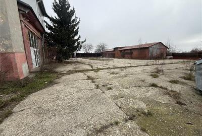 Hale industriale de inchiriat cu platforma betonata de 10.424mp - Șerbanest - 3