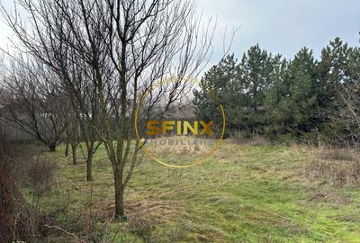 Comision 0%/ teren 473 mp intravilan Voluntari/ front 20 m/ toate utilitatile - 1