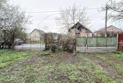 De vânzare 2 Case de vinificație cu Teren 4108 mp - Grădina Viilor - Carei - 16