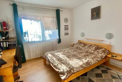 2 Case in regim P+M cu 9 camere, 3 băi, teren 1811mp, front 30m, Paleu - 7