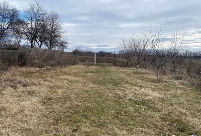 Casa situata in orasul Targu-Carbunesti , Localitatea Floresteni - 5