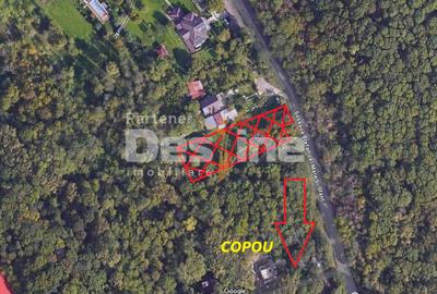 Copou - Teren intravilan 1853 mp PUZ in lucru 3 locuinte - 1