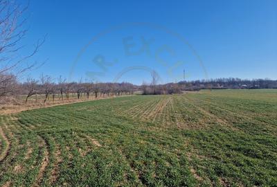 Teren Construcții intravilan de 1055 mp, în Săpata