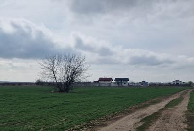 Loturi teren  construibil - 11