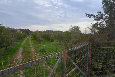 LIVADA  DE VANZARE FOCSANI-DUMBRAVITA  1,8  HA - 12