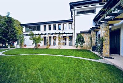 CASA EXCLUSIVISTA IANCU NICOLAE- PIPERA  VEDERE PADURE TEREN 1500 MP - 14